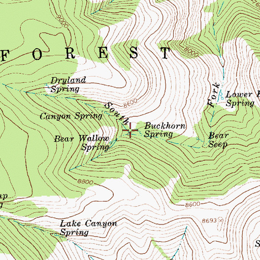Topographic Map of Buckhorn Spring, UT