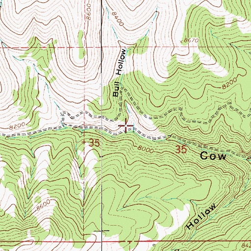 Topographic Map of Bull Hollow, UT