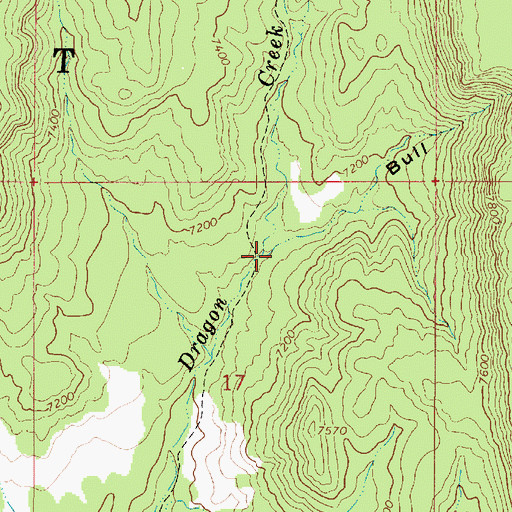 Topographic Map of Bull Hollow, UT