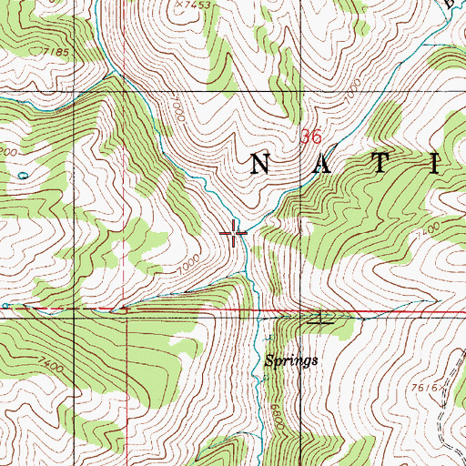 Topographic Map of Bull Nelson Creek, UT