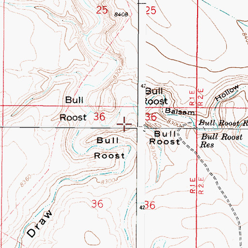 Topographic Map of Bull Roost, UT