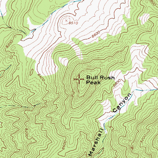 Topographic Map of Bull Rush Peak, UT