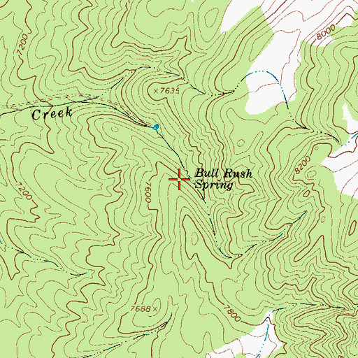 Topographic Map of Bull Rush Spring, UT