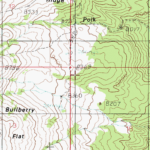 Topographic Map of Bullberry Flat, UT