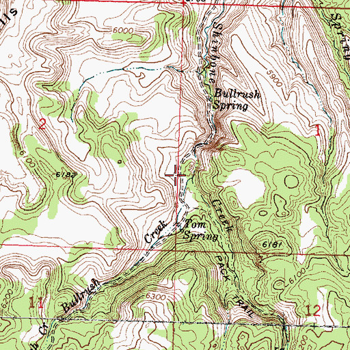 Topographic Map of Bullrush Creek, UT