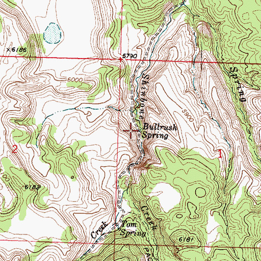 Topographic Map of Bullrush Spring, UT