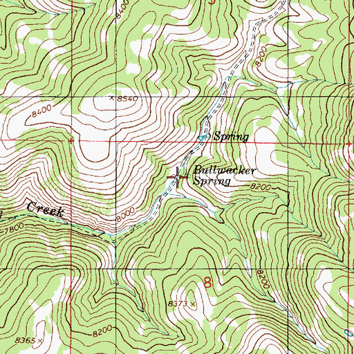 Topographic Map of Bullwacker Spring, UT