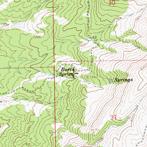 Topographic Map of Burch Spring, UT