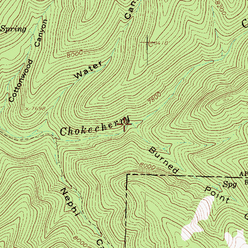Topographic Map of Burned Point Canyon, UT