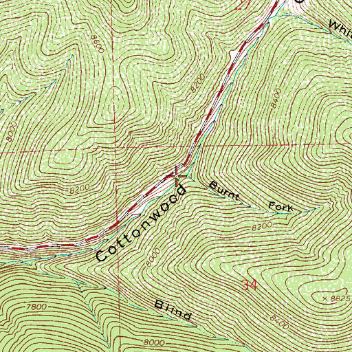 Topographic Map of Burnt Fork, UT