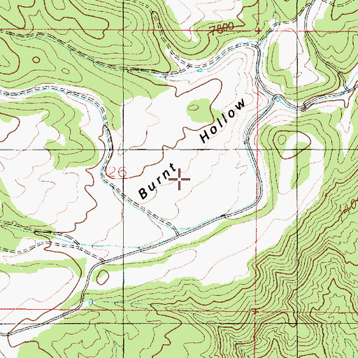 Topographic Map of Burnt Hollow, UT