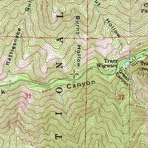 Topographic Map of Burnt Hollow, UT