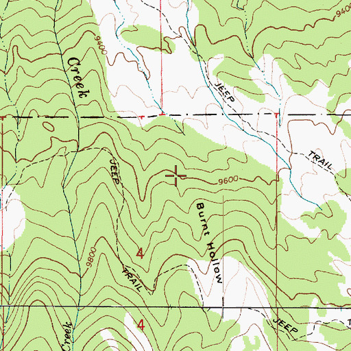 Topographic Map of Burnt Hollow, UT