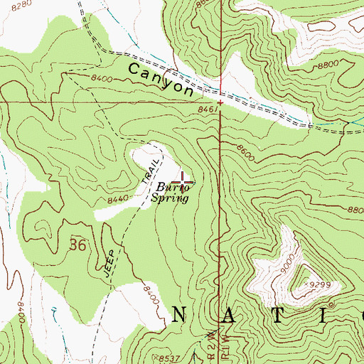 Topographic Map of Burro Spring, UT