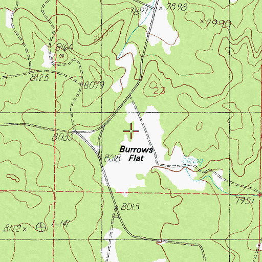 Topographic Map of Burrows Flat, UT