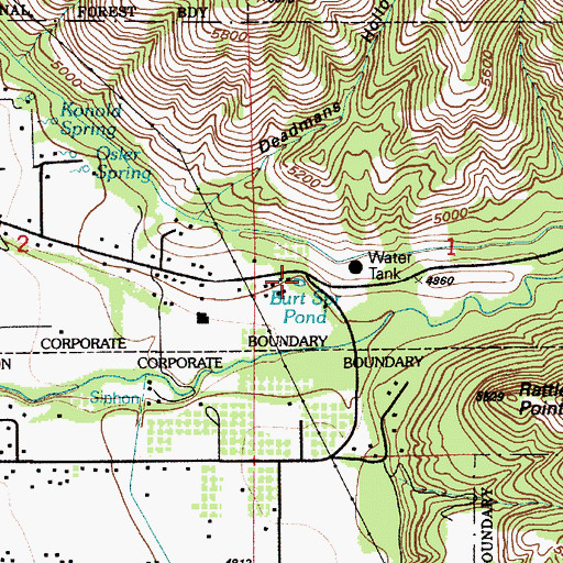 Topographic Map of Burt Spring Pond, UT