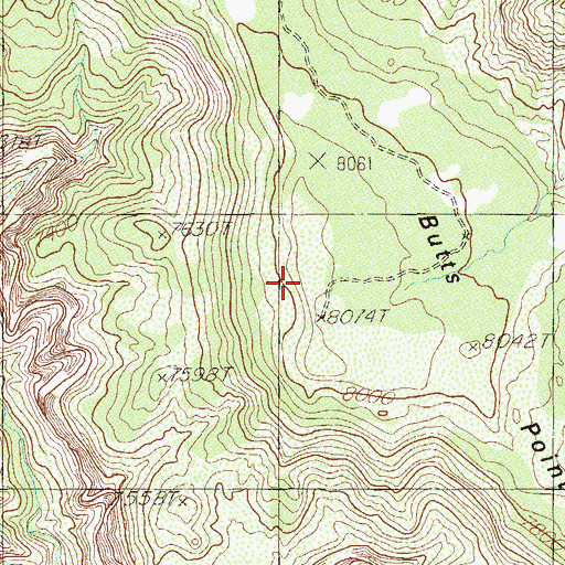 Topographic Map of Butts Canyon, UT