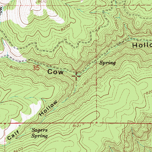 Topographic Map of Calf Hollow, UT