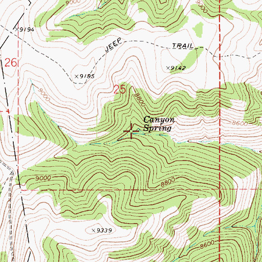 Topographic Map of Canyon Spring, UT