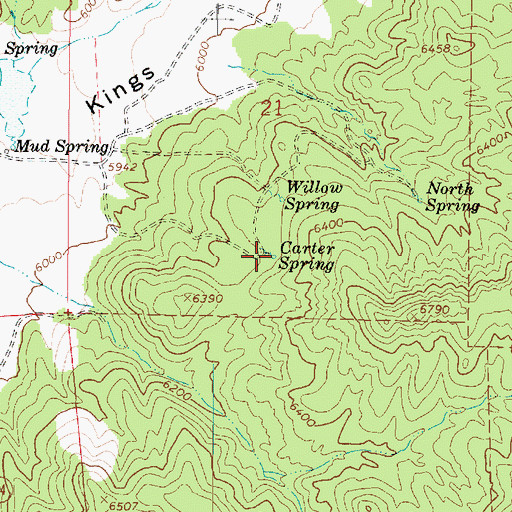 Topographic Map of Carter Spring, UT