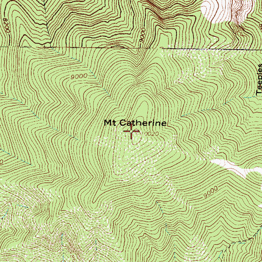 Topographic Map of Mount Catherine, UT