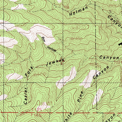 Topographic Map of Cazier Fork, UT