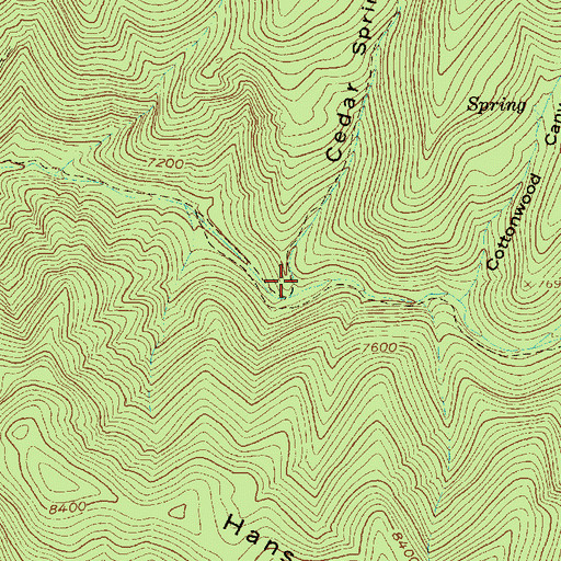 Topographic Map of Cedar Springs Canyon, UT