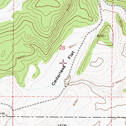 Topographic Map of Cedarless Flat, UT