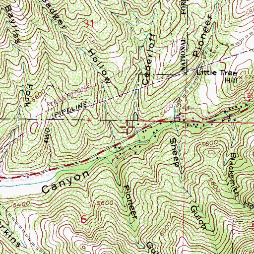 Topographic Map of Cederloff Hollow, UT
