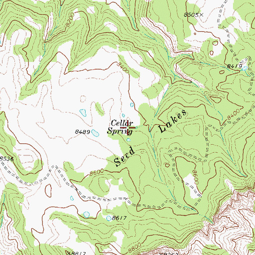 Topographic Map of Cellar Spring, UT