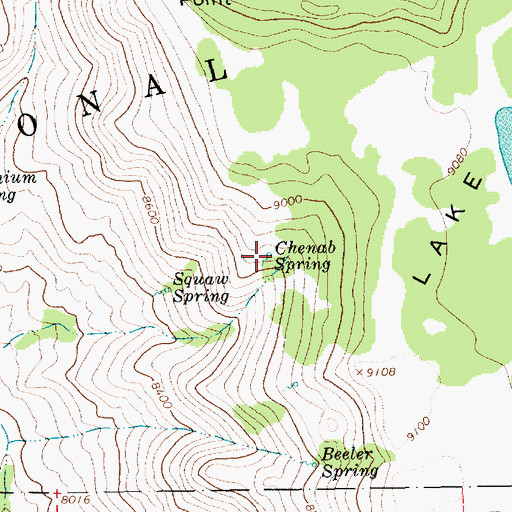 Topographic Map of Chenab Spring, UT