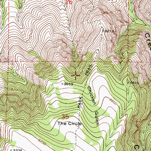 Topographic Map of Chicken Gulch, UT