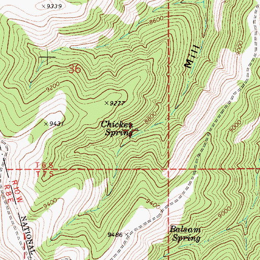 Topographic Map of Chicken Spring, UT