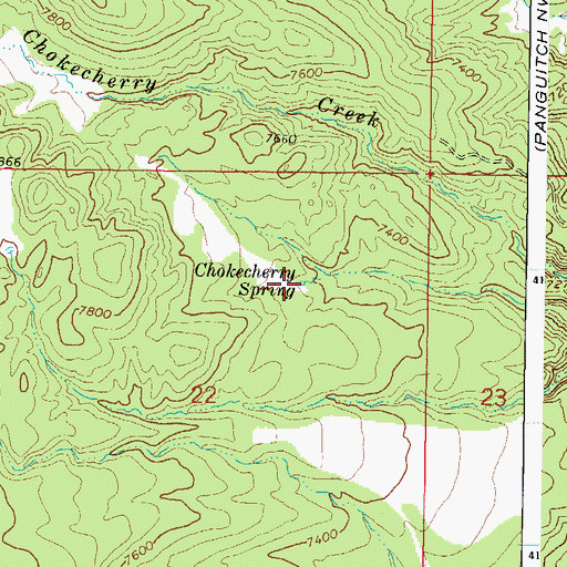 Topographic Map of Chokecherry Spring, UT