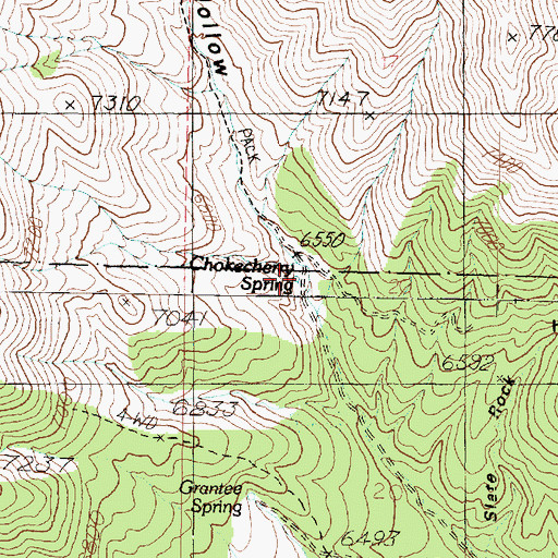 Topographic Map of Chokecherry Spring, UT