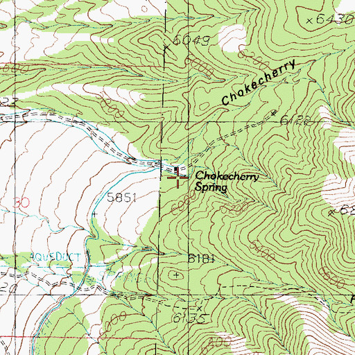 Topographic Map of Chokecherry Spring, UT