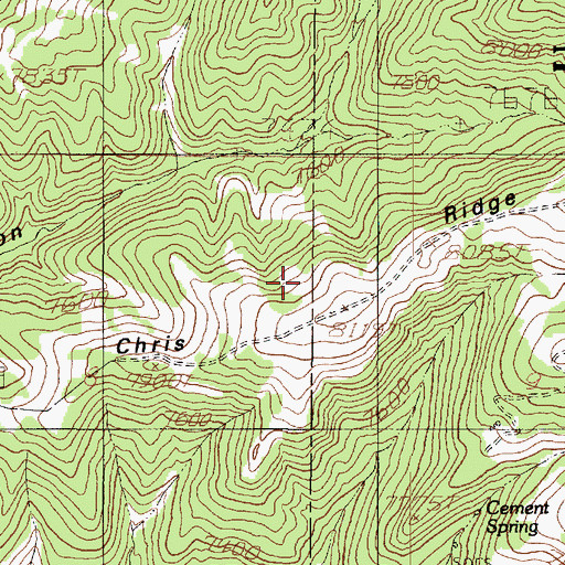 Topographic Map of Chris Ridge, UT