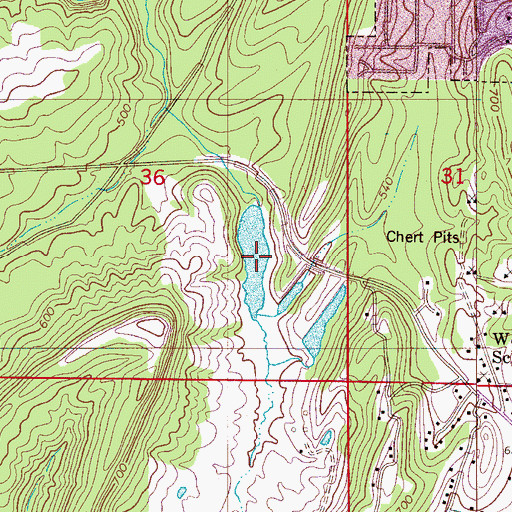 Topographic Map of Atchisons Lake, AL
