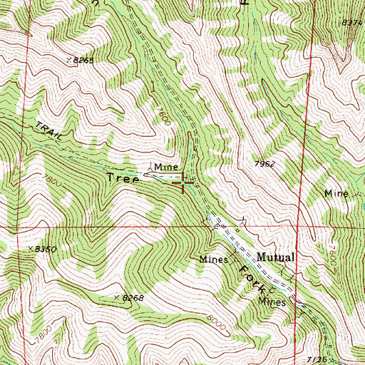 Topographic Map of Ciochetto Canyon, UT