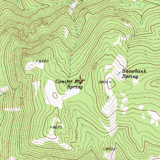 Topographic Map of Conifer Box Spring, UT