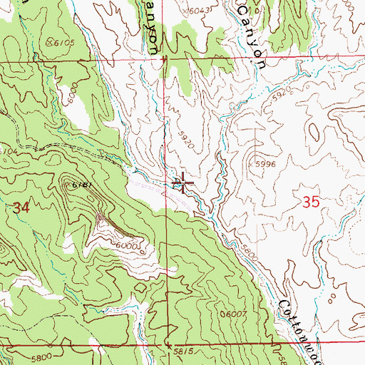 Topographic Map of Constantine Canyon, UT