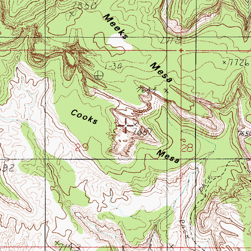 Topographic Map of Cooks Mesa, UT