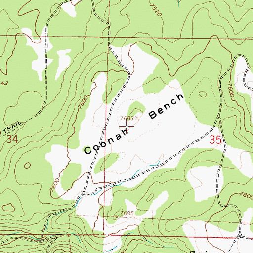 Topographic Map of Coonah Bench, UT