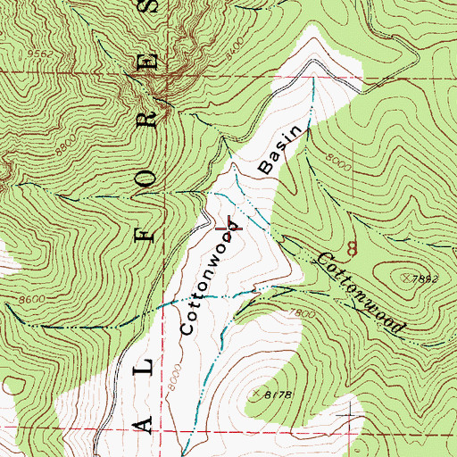 Topographic Map of Cottonwood Basin, UT