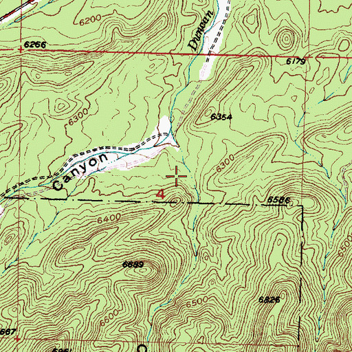 Topographic Map of Cottonwood Canyon, UT