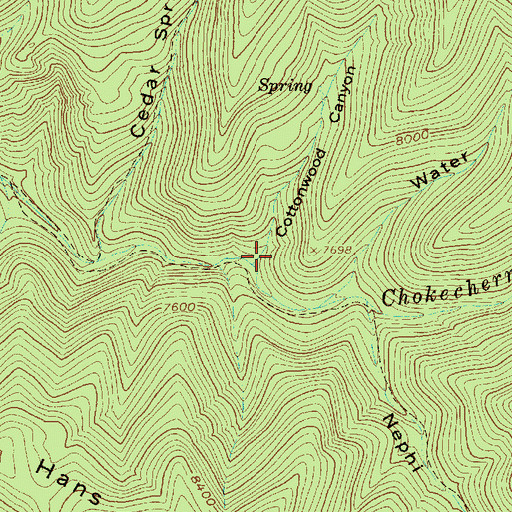 Topographic Map of Cottonwood Canyon, UT