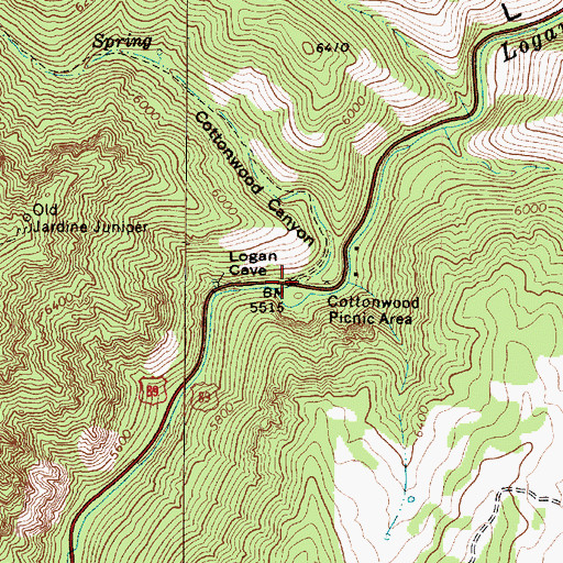 Topographic Map of Cottonwood Canyon, UT