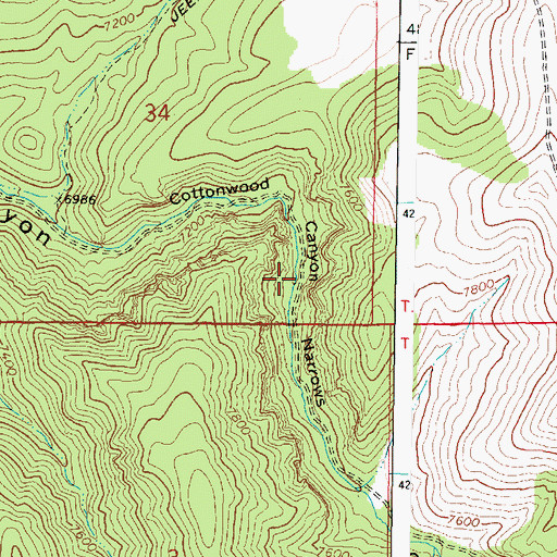 Topographic Map of Cottonwood Canyon Narrows, UT