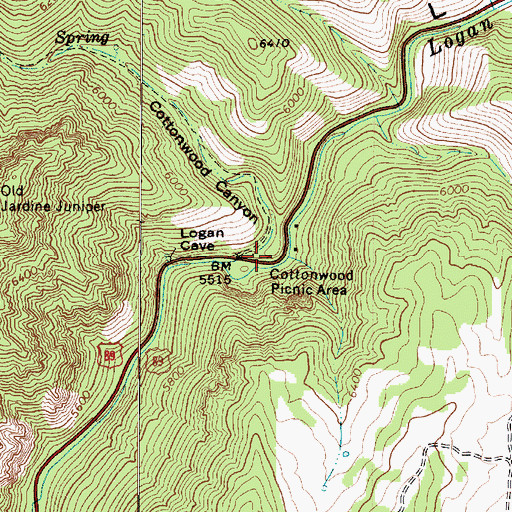 Topographic Map of Cottonwood Picnic Area, UT