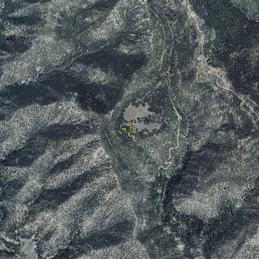 Aerial/Satellite Image of Cougar Bench, UT